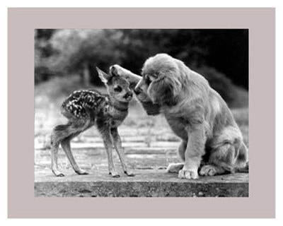 What a Friend Print What a Friend Print