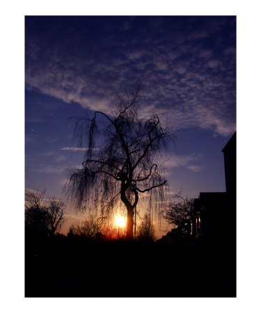 Blue Photographic Print Blue Photographic Print