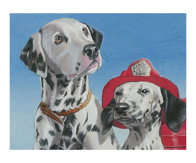 Dalmatians Giclee Print Dalmatians Giclee Print