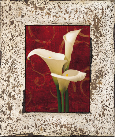 Calla Lilies Print Calla Lilies Print