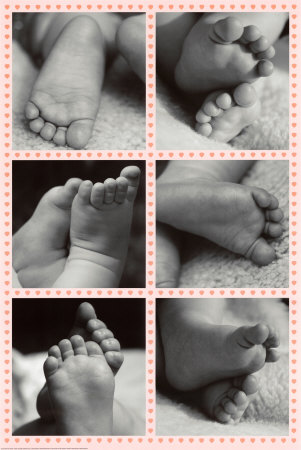 Baby Feet Poster Baby Feet Poster