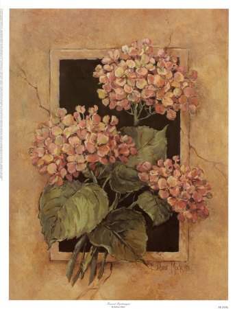 Framed Hydrangea Print Framed Hydrangea Print