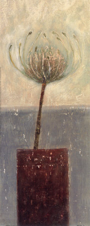 Agapanthus I Print Agapanthus I Print