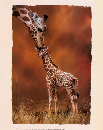 Giraffe Kiss Print Giraffe Kiss Print