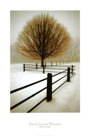Solitude Print Solitude Print