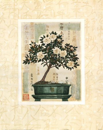 Azalea Bonsai Print Azalea Bonsai Print