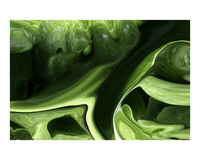 Green Glory Photographic Print Green Glory Photographic Print