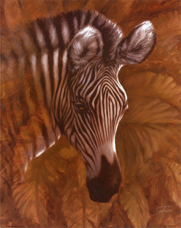 Safari Zebra Print Safari Zebra Print