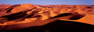 Sahara Print Sahara Print