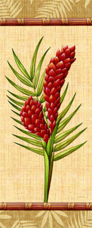 Fleurs Exotiques I Print Fleurs Exotiques I Print