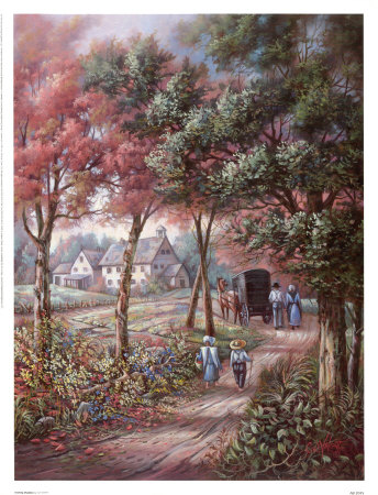Evening Shadows Print Evening Shadows Print