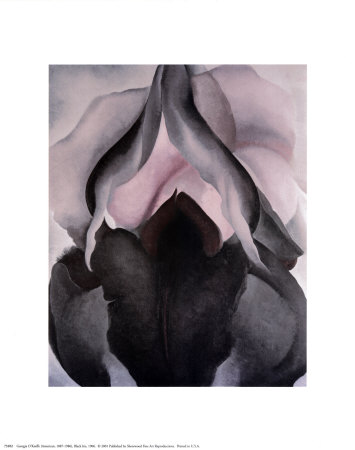 Black Iris Print Black Iris Print
