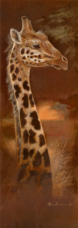 Young and Curious Print Young and Curious Print
