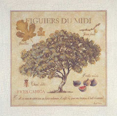 Figuiers du Midi Print Figuiers du Midi Print
