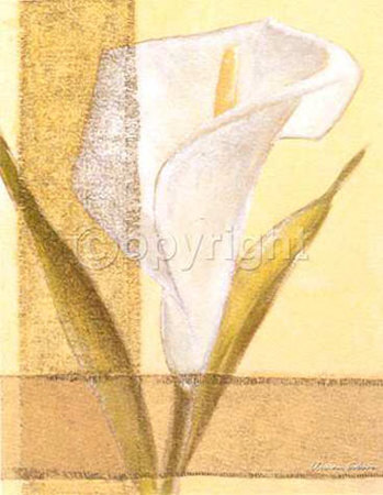 Callas Print Callas Print