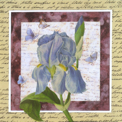 Blue Flower Notes IV Print Blue Flower Notes IV Print