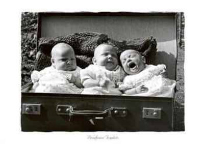 Briefcase Triplets Print Briefcase Triplets Print