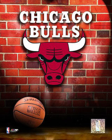 Chicago Bulls Photograph Chicago Bulls Photograph