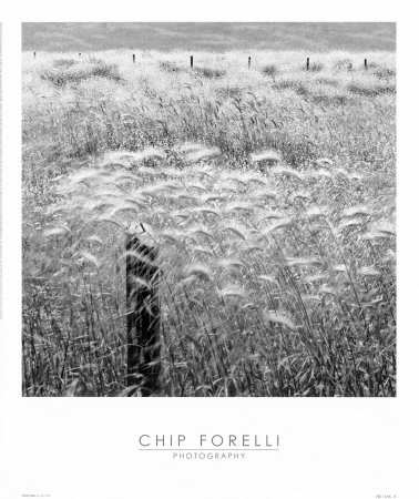 Fence Posts Print Fence Posts Print