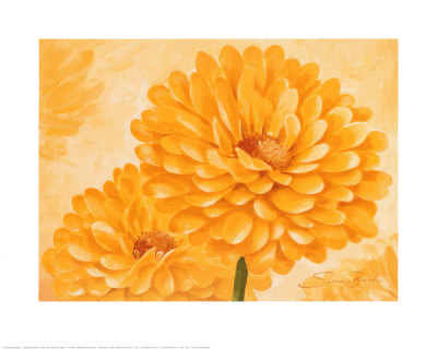 Yellow Marigold Print Yellow Marigold Print