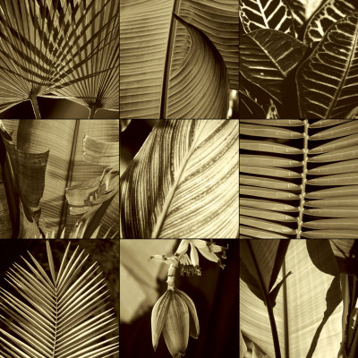 Tropical Leaves I Print Tropical Leaves I Print