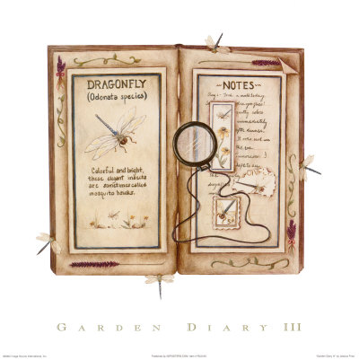 Garden Diary III Print Garden Diary III Print