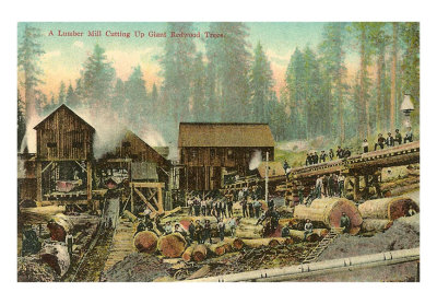 Lumber Mill for Redwoods Print Lumber Mill for Redwoods Print