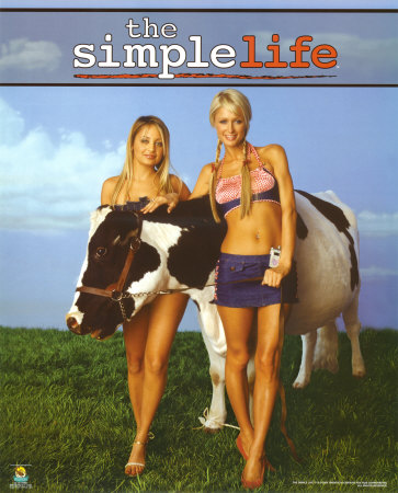 Simple Life Poster Simple Life Poster