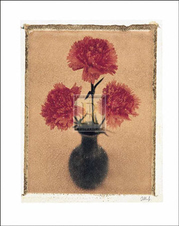 Carnations Print Carnations Print
