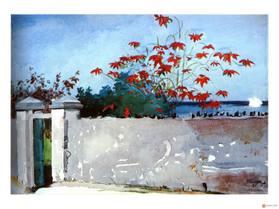 Wall Nassau Giclee Print Wall Nassau Giclee Print