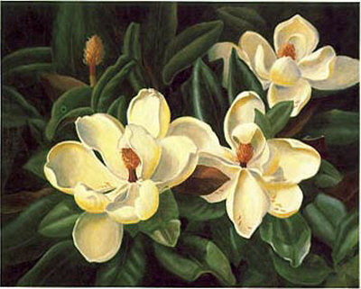 Bountiful Magnolia Print Bountiful Magnolia Print