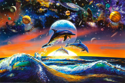 Dolphin Universe Poster Dolphin Universe Poster