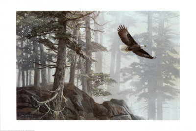 Flying High Print Flying High Print