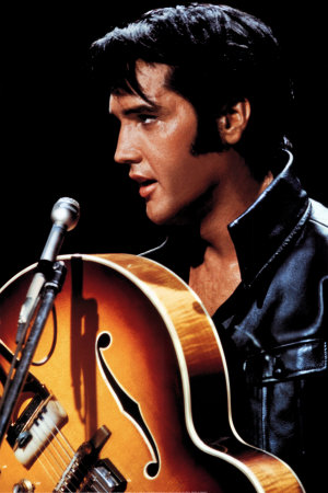 Elvis Presley Poster Elvis Presley Poster