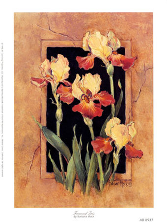 Framed Iris Print Framed Iris Print