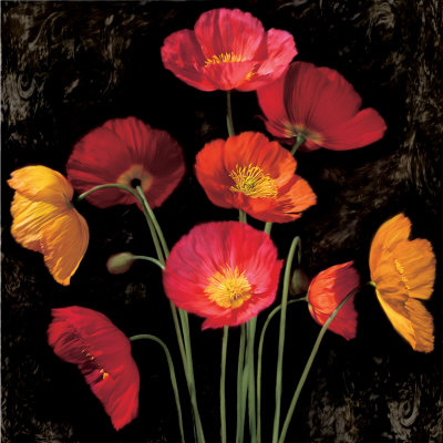 Poppy Bouquet I Print Poppy Bouquet I Print