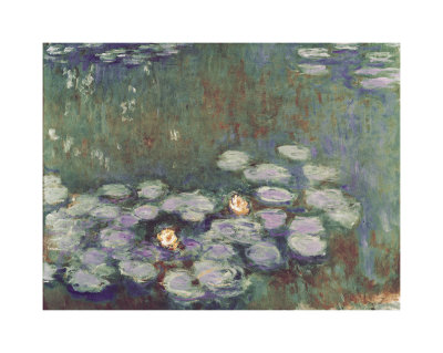 Water Lilies Print Water Lilies Print