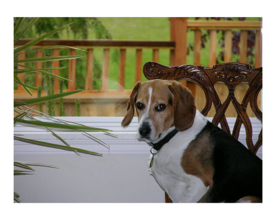 Babyboomer Photographic Print Babyboomer Photographic Print