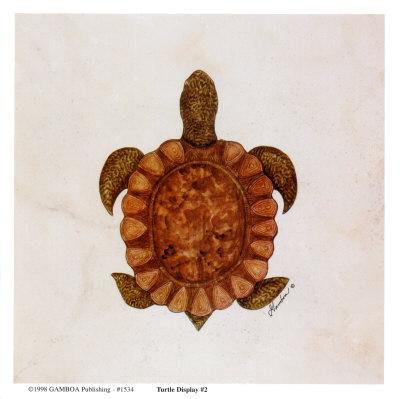 Turtle Display 2 Print Turtle Display 2 Print