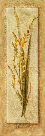 Freesia Panel Print Freesia Panel Print