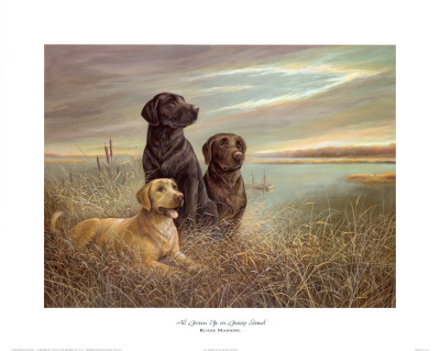 "All Grown Up on Grassy Sound" Print