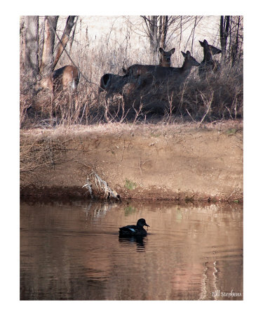 Peace Giclee Print Peace Giclee Print