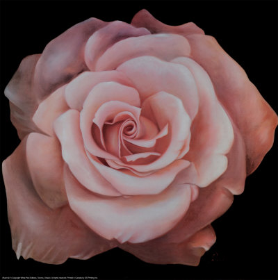 Pink Passion II Print Pink Passion II Print