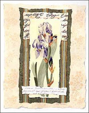 Iris Print Iris Print