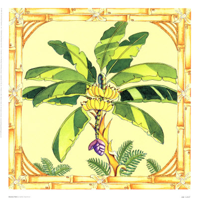 Banana Palm Print Banana Palm Print