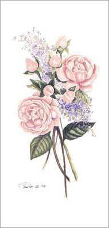 Rose Botanical 1 Print Rose Botanical 1 Print