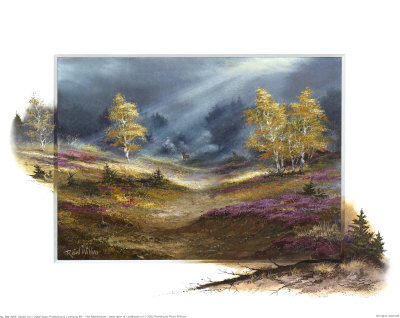 The Deer Noticed Us Print The Deer Noticed Us Print