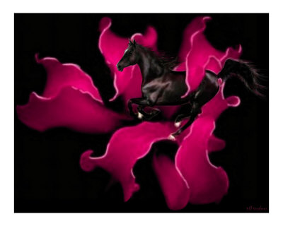 The Black Photographic Print The Black Photographic Print