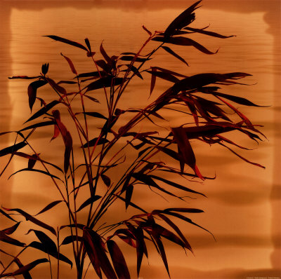 Bamboo Waves II Print Bamboo Waves II Print