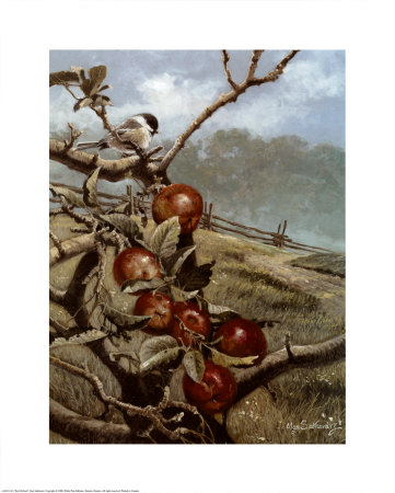 Red Orchard Print Red Orchard Print